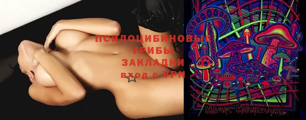 шишки Горнозаводск