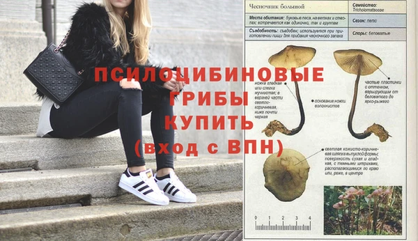 Альфа ПВП Гусев