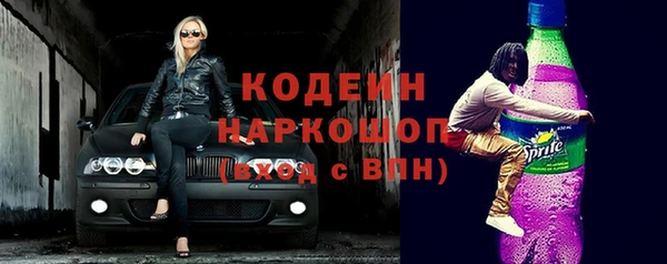 шишки Горнозаводск
