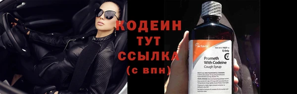 шишки Горнозаводск