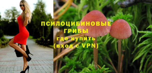 хмурый Горно-Алтайск