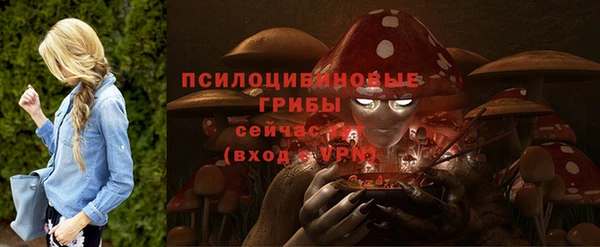 шишки Горнозаводск