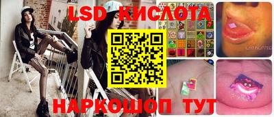 сатива Аргун