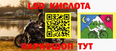 сатива Аргун