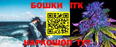 индика Гусиноозёрск