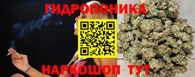 индика Гусиноозёрск