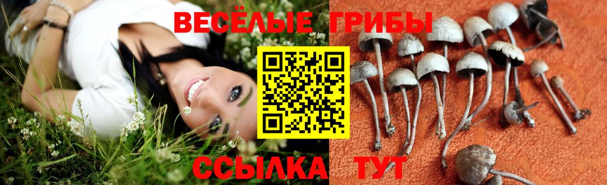 Псилоцибиновые грибы MAGIC MUSHROOMS Десногорск